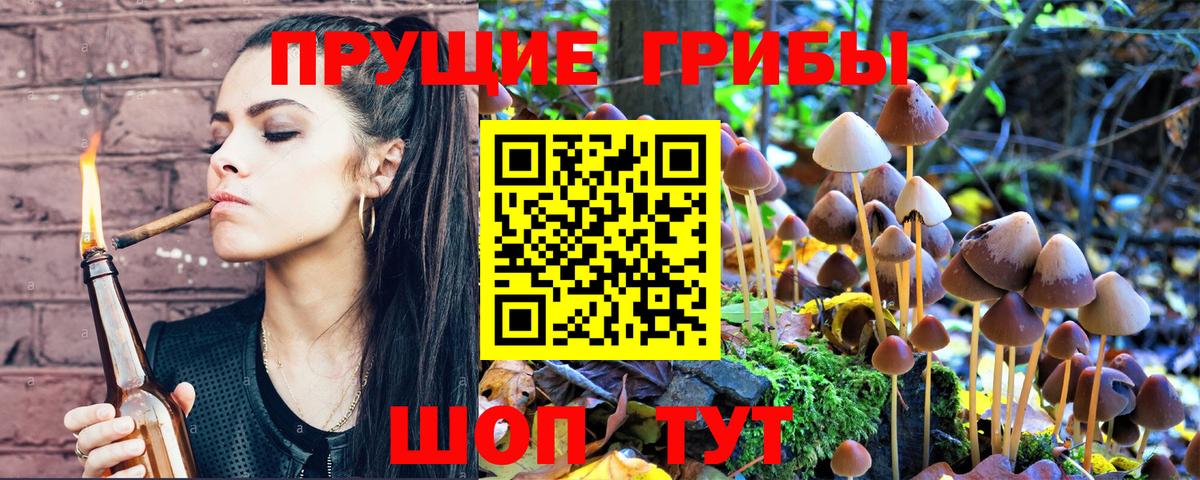 Шуя  Галлюциногенные грибы Magic Shrooms  Вход с VPN 