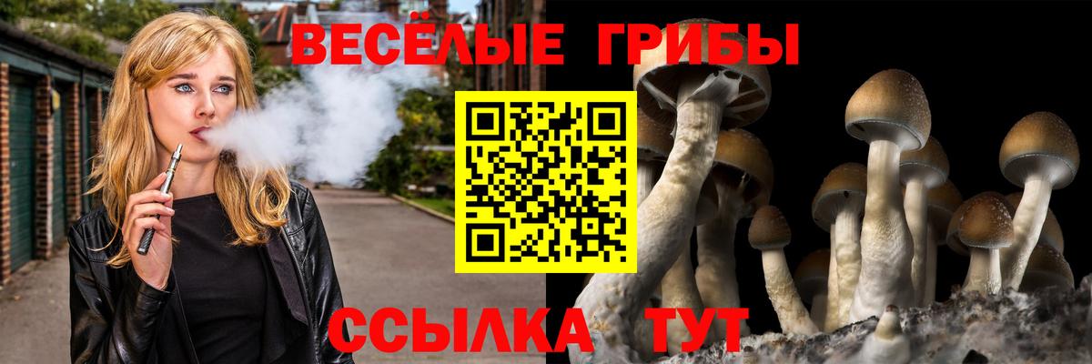 Псилоцибиновые грибы Psilocybe Шуя